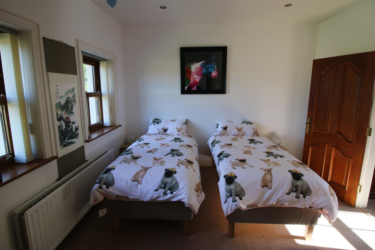 Bed and Breakfast Feetnpaws Portaferry Exteriér fotografie